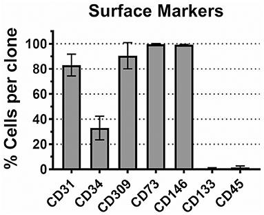 Initial Assessment of Variability of Responses to Toxicants in Donor-Specific Endothelial Colony Forming Cells